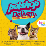 agencia de petshop-edp gold-pet delivery
